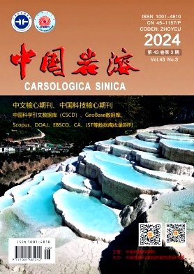 中国岩溶封面
